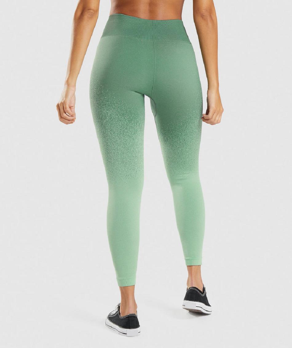 Leggins Gymshark Adapt Ombre Seamless Mujer Verde Verde Claro | CO 2894NWY